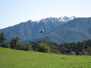 205 flying beech maruia