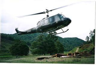 foreverbeech heli-logging fullchisel felling