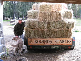 horse trailer sign