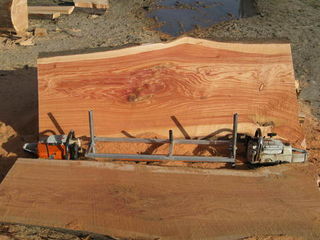 macrocarpa table top