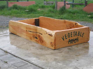 macrocarpa planter boxes