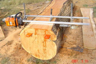 slicing the trees from this