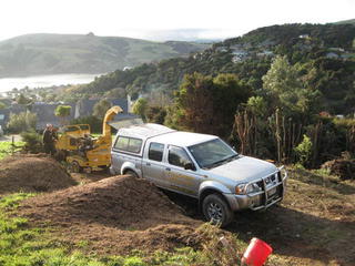 mulching Canterbury area