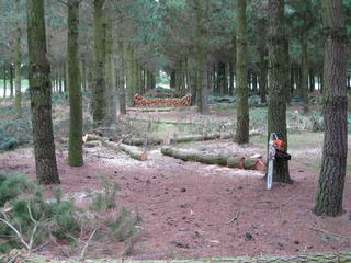tree work kirwee