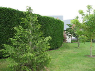 Hedges/Selwyn distric