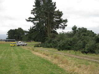 country tree felling