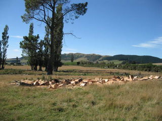 firewood cutting rural canterbury