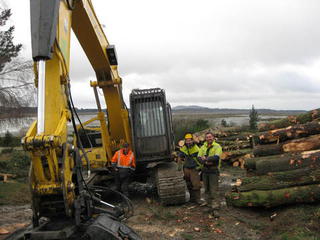 waimak logging