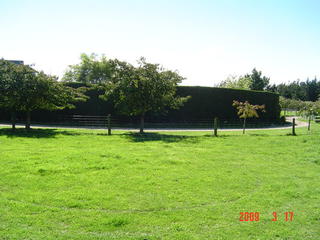 canterbury lifestyle hedge trimming