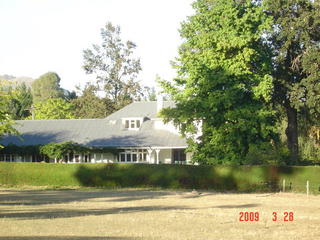 Hedges trimmed,& trees limbed