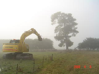 tree pulling in the fog Culverdon