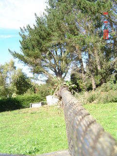 19mm swaged rope thanks to the loggers shop