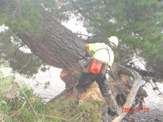 dangerous windblow