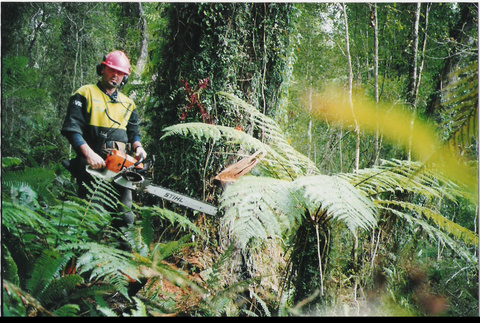 heli-logging south westland