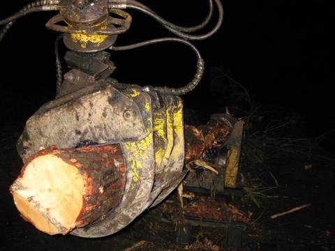 night logging
