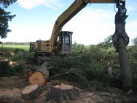 digger sorting logs