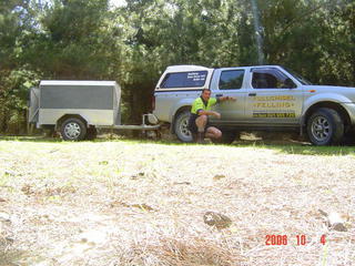 Lifestyle tree felling
