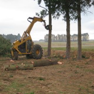 back pulling trees / awkard places